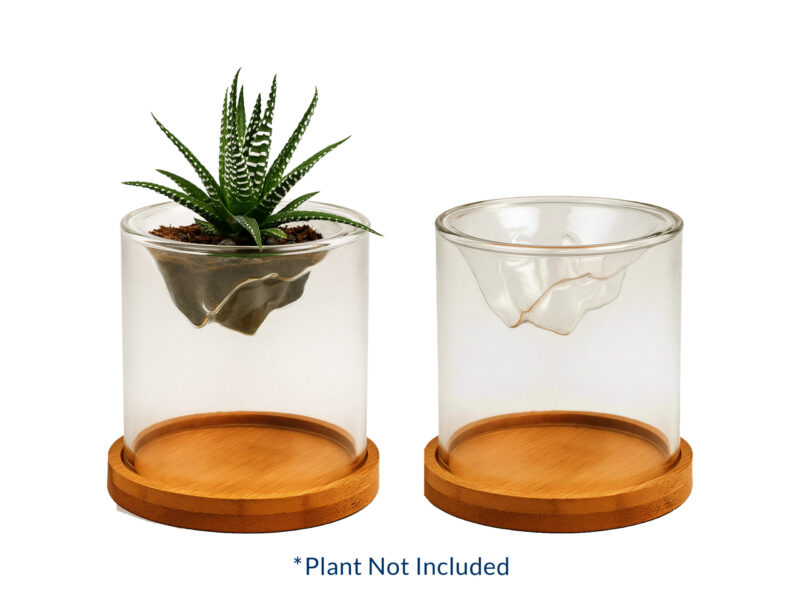 Inpla — Elegant Glass Terrarium with Bamboo Base