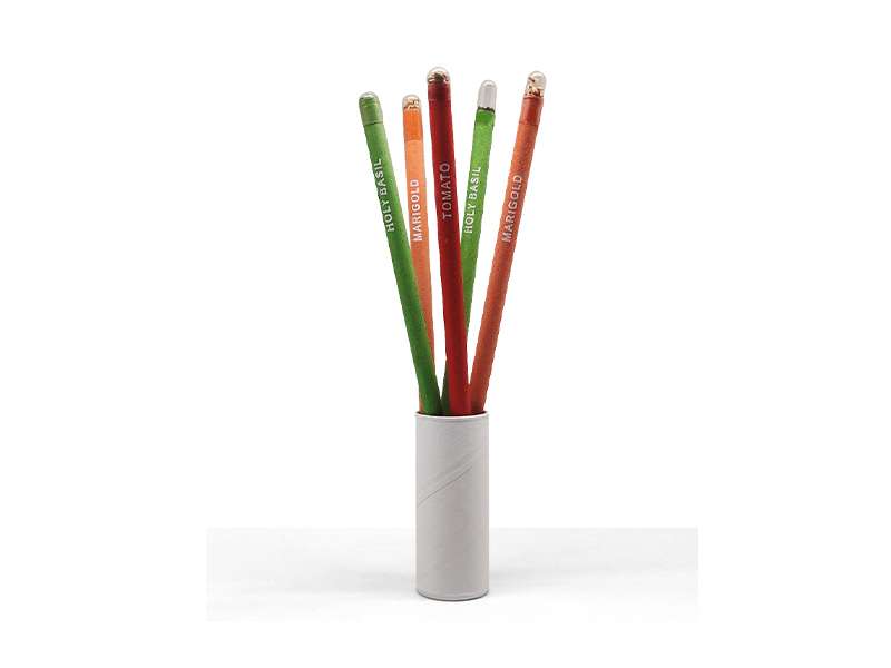Seed Pencil — Pencil set with seeds of 5 different plants